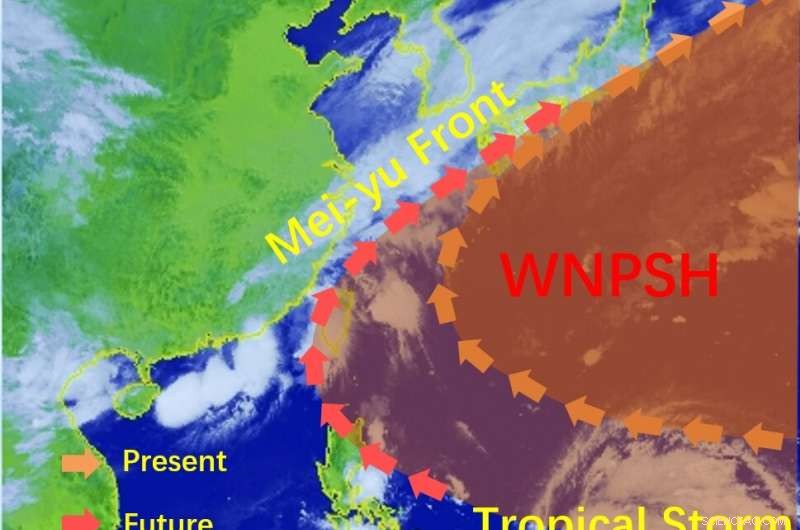 Enhanced North Pacific Subtropical High Forecasts: Summer Monsoon Intensification and Fewer Typhoon Landfalls
