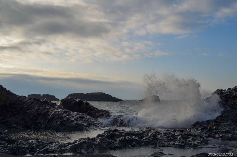 Cutting Carbon Emissions May Reduce Ocean CO₂ Uptake, Experts Warn