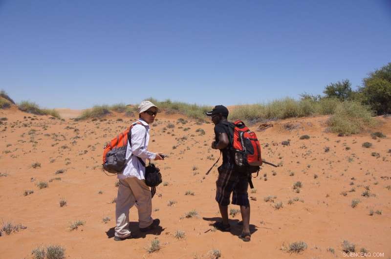 Hydrologists Detect Environmental Damage from Fog Reduction via Satellite Imaging