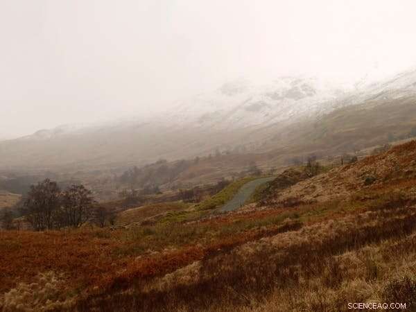 Rewilding Reveals: Rare Birds Return After Livestock Grazing Ceases