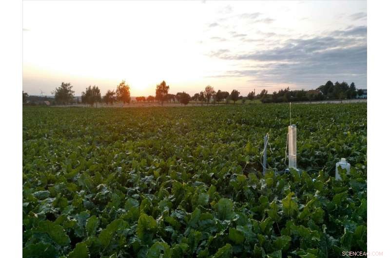 Modeling Soil Structural Changes: Assessing Plowing, Mulching, and Direct Sowing for Sustainable Agriculture