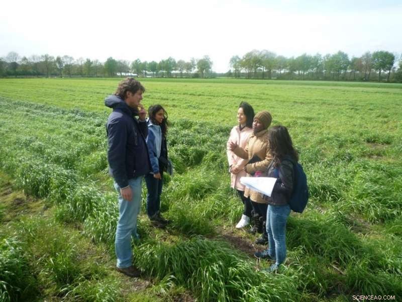 Satellite Imagery Reveals Impact of Cover Crops in Overijssel, Netherlands