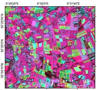 Satellite Imagery Reveals Impact of Cover Crops in Overijssel, Netherlands