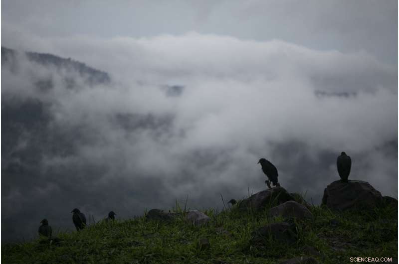 Storm Cristobal Strengthens, Heading Toward U.S. Coast