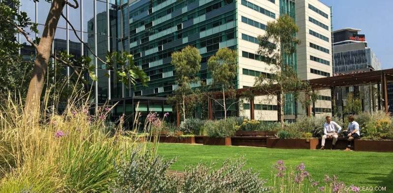 Greening Grey Cities: How Green Roofs and Walls Thrive in Australia