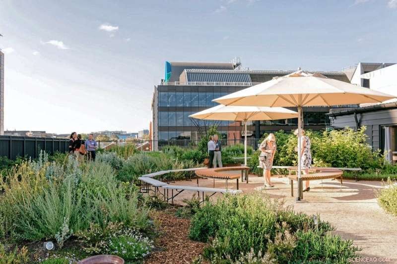 Greening Grey Cities: How Green Roofs and Walls Thrive in Australia