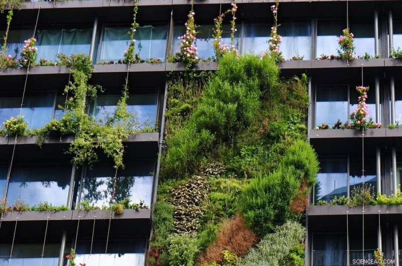 Greening Grey Cities: How Green Roofs and Walls Thrive in Australia