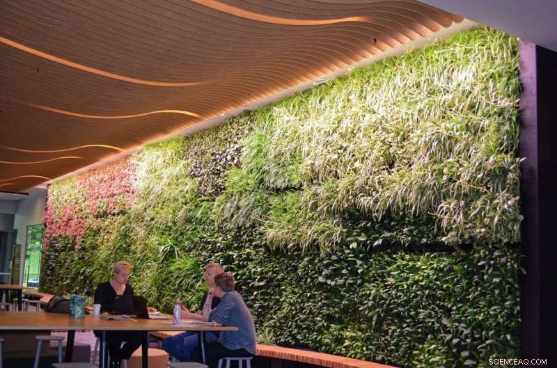 Greening Grey Cities: How Green Roofs and Walls Thrive in Australia
