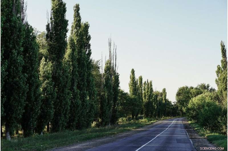 Australian Green Cities Roadmap Leverages COVID-19 Recovery to Accelerate Urban Greening