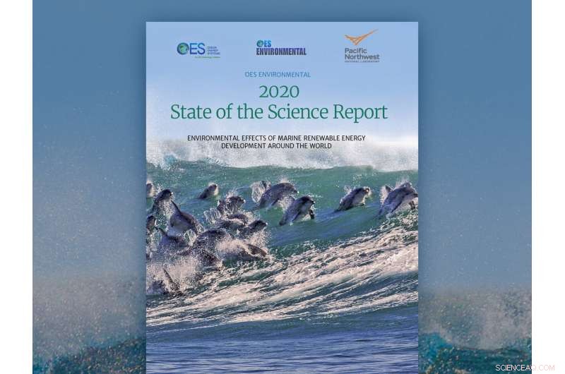 Study Finds Marine Energy Devices Likely Pose Minimal Impact on Marine Life