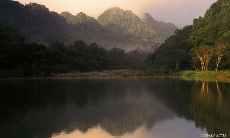 Rebuilding Nature: Strategies for a Better Post‑COVID World