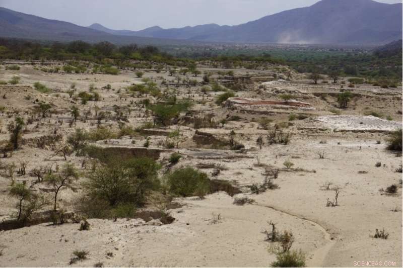 Explaining the Rotation of Africa’s Victoria Plate