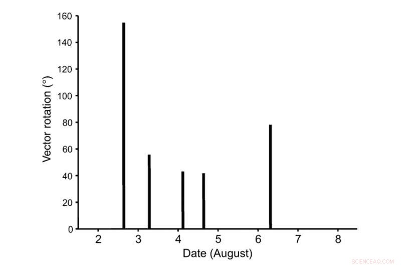 Glacier Mice: The Enigmatic Moss-Ball Herds Roaming Ice Sheets