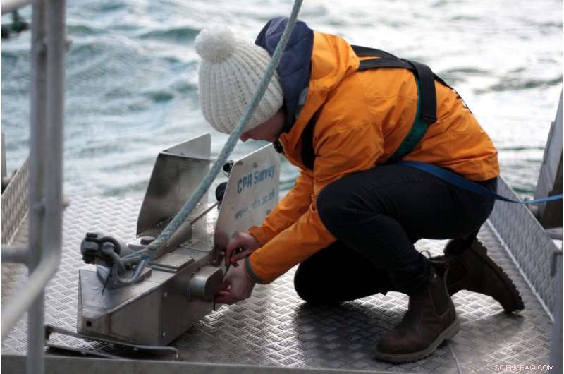 Climate Change Severely Lowers Shelf Sea Food Web Productivity