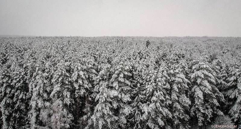 Siberia Faces Fires, Floods, and Moth Outbreaks as Climate Change Accelerates