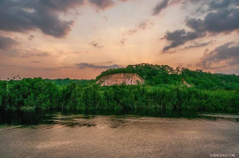 Amazon Rainforest Faces Record-Breaking Fire Season – Experts Warn of Heightened Burn Risk