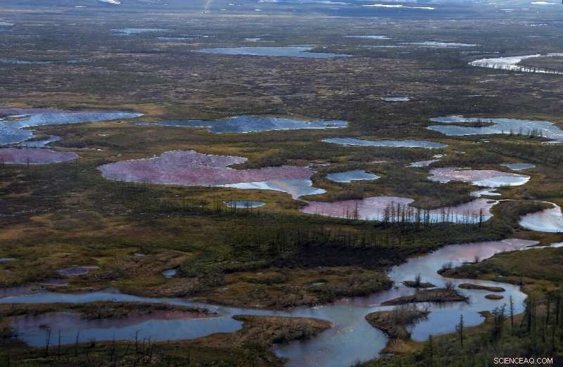 Arctic Lake Contamination: Siberian Oil Spill Forces Emergency Declaration