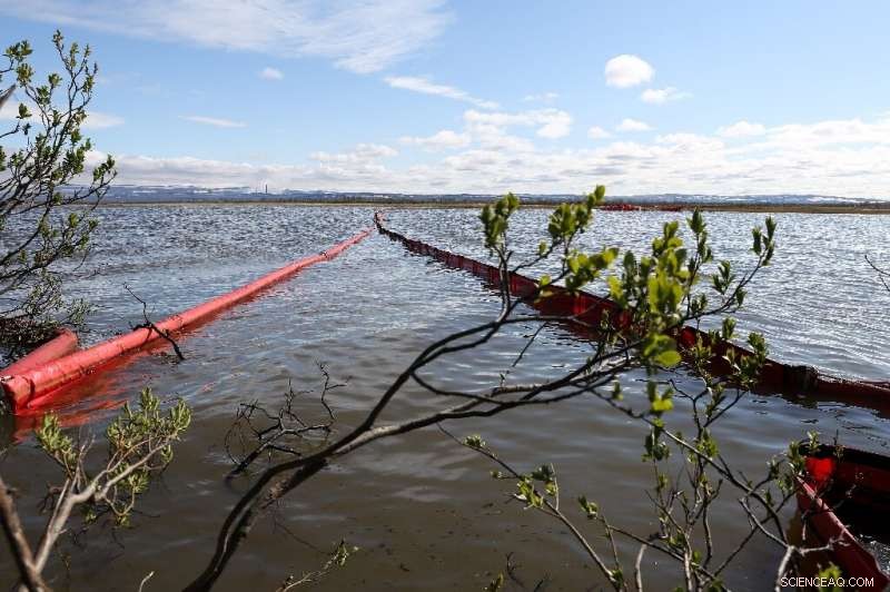 Arctic Lake Contamination: Siberian Oil Spill Forces Emergency Declaration