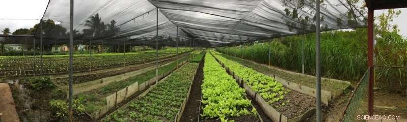 Cuba s Clean Rivers Showcase the Positive Impact of Nutrient Pollution Reduction