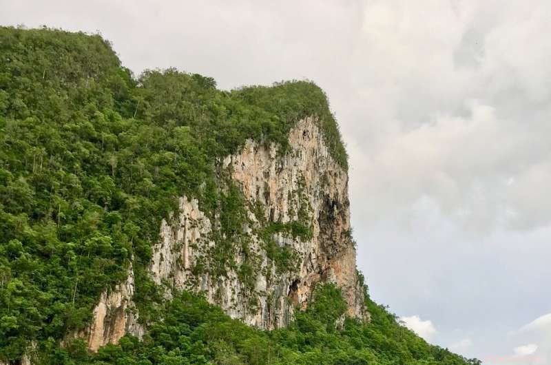 Cuba s Clean Rivers Showcase the Positive Impact of Nutrient Pollution Reduction