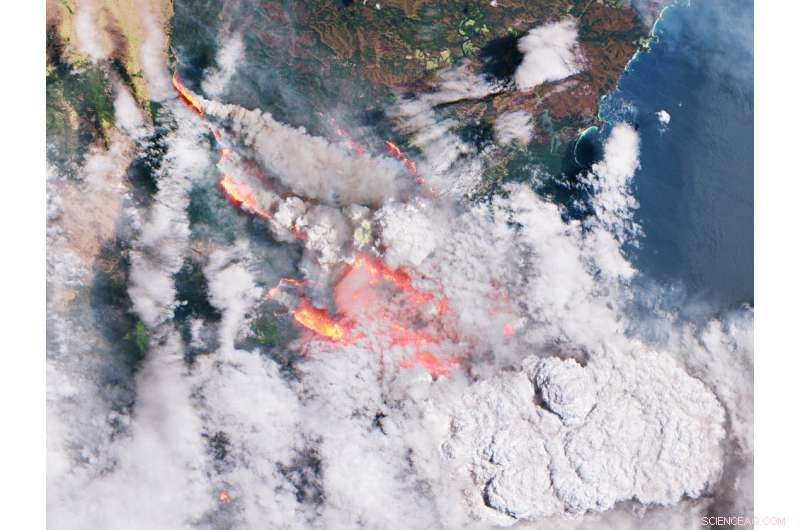 Fire Expert: A Year After Last Bushfire Season—Prepare for a New Challenge