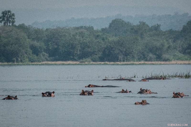 Uganda Faces Controversy Over Proposed Dam at Murchison Falls National Park