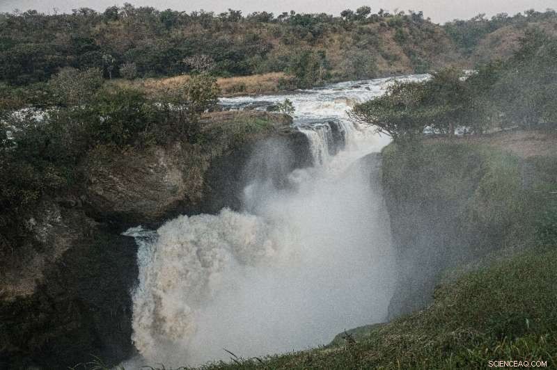 Uganda Faces Controversy Over Proposed Dam at Murchison Falls National Park