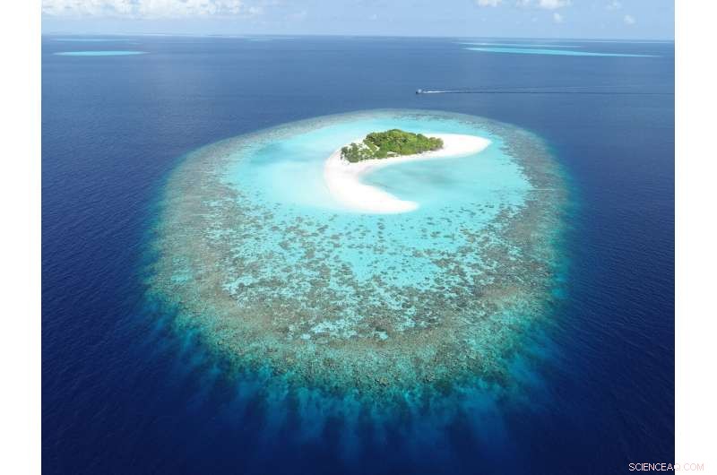 Islands Need Not Sink: Managing Rising Sea Levels