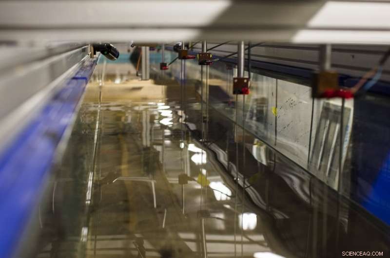 Islands Need Not Sink: Managing Rising Sea Levels