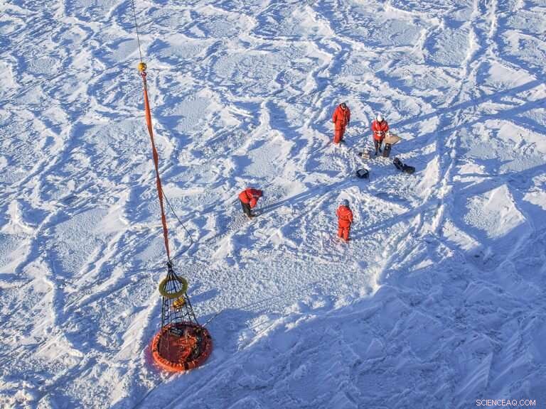 Enhanced Antarctic Sea‑Ice Models Set to Strengthen Next IPCC Assessment