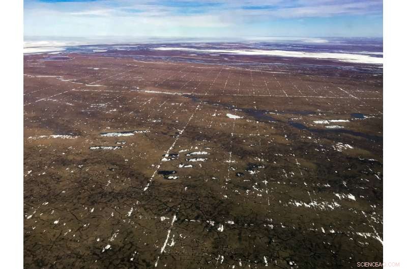 Arctic Refuge Seismic Survey Plans Threaten Long-Term Ecosystem Integrity