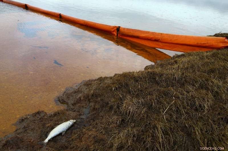 Russia Detains Plant Staff After Arctic Fuel Spill; Cleanup Could Take Years