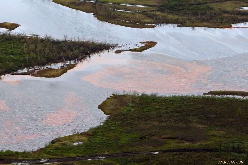 Russia Detains Plant Staff After Arctic Fuel Spill; Cleanup Could Take Years
