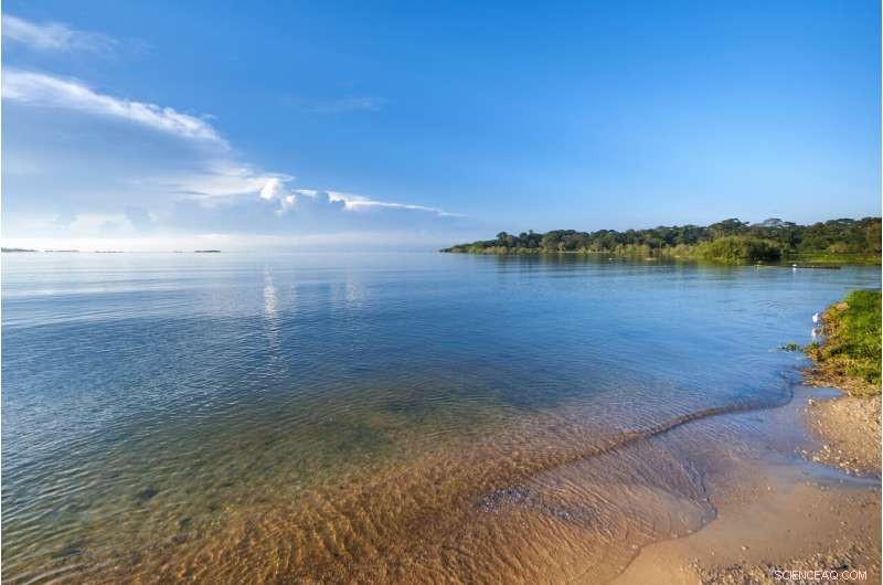 Lake Victoria’s Rising Levels: Risks of Flooding and How to Protect Communities