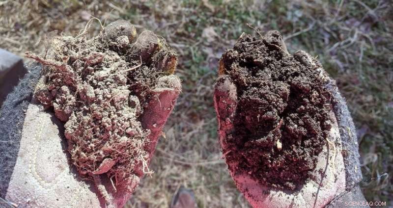 How City Compost Programs Turn Trash Into Black Gold—Boosting Food Security & Social Justice