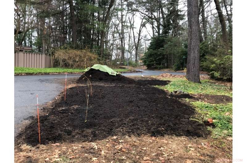 How City Compost Programs Turn Trash Into Black Gold—Boosting Food Security & Social Justice