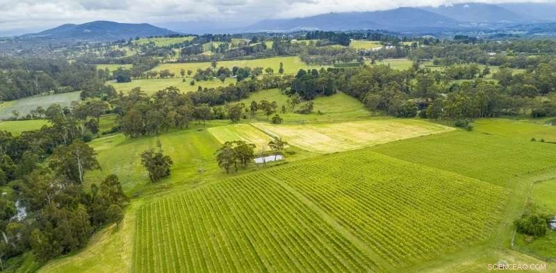 Australia Faces Microplastic Contamination: 1,200+ Tonnes Enter Farmland Each Year via Wastewater Sludge