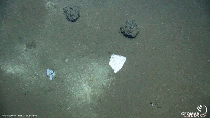 Plastic in the Deep Sea: Unchanged After 25 Years – A Deep Dive into Environmental Impact