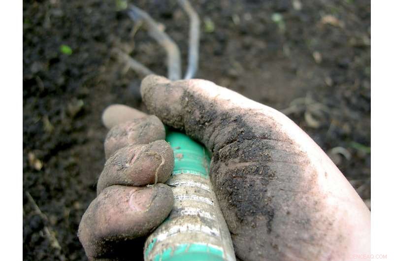 Harnessing Soil Biology to Build a Sustainable Future