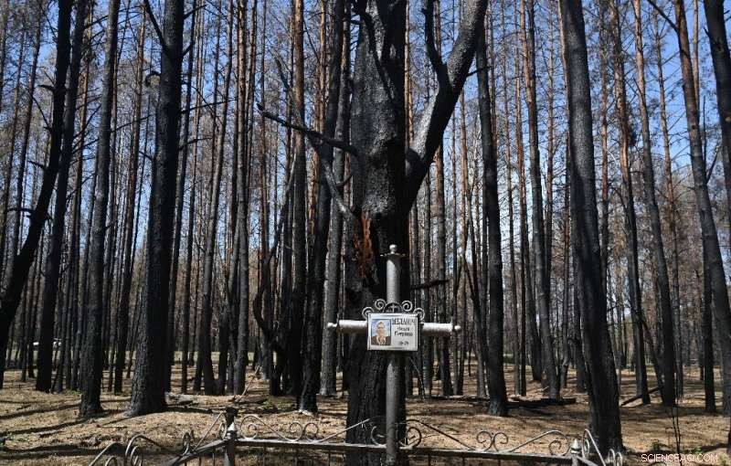Ukraine Scientists Spot Hope After Major Chernobyl Fires