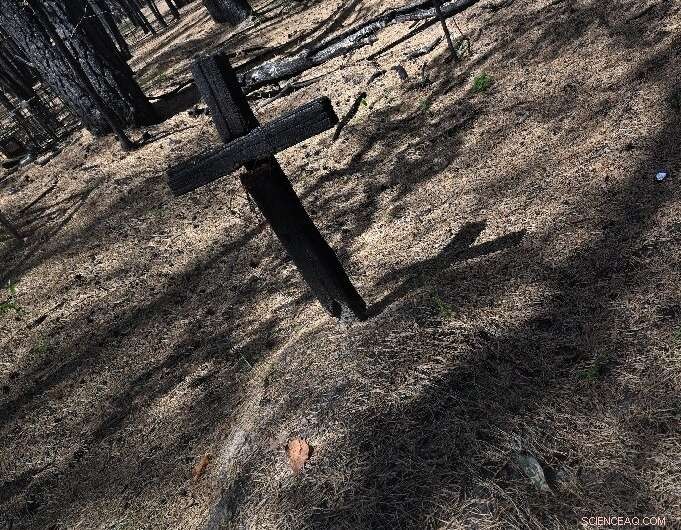 Ukraine Scientists Spot Hope After Major Chernobyl Fires