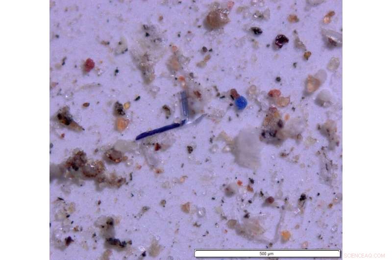 Over 1,000 Tons of Plastic Wash into Western U.S. Protected Lands Each Year