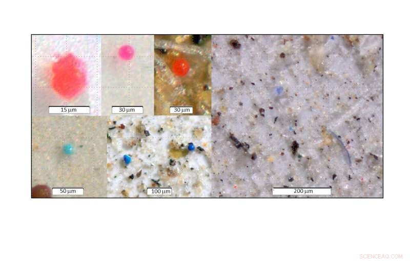 Over 1,000 Tons of Plastic Wash into Western U.S. Protected Lands Each Year