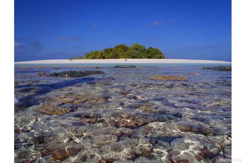 Revolutionizing Sand Measurement: Scientists Warn of Growing Scarcity Threats