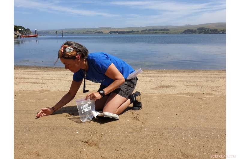 Revolutionizing Sand Measurement: Scientists Warn of Growing Scarcity Threats