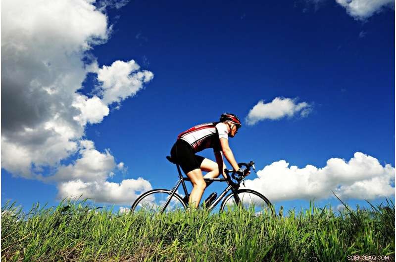 How Low-Carbon Diets Fuel Sustainable Walking & Cycling, According to Researchers