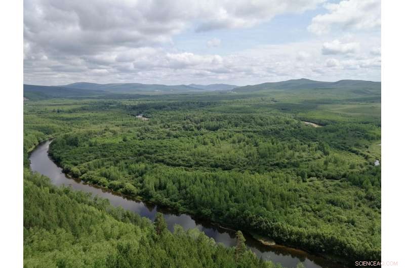 Permafrost Soil Nitrogen Release: A Key Climate Feedback