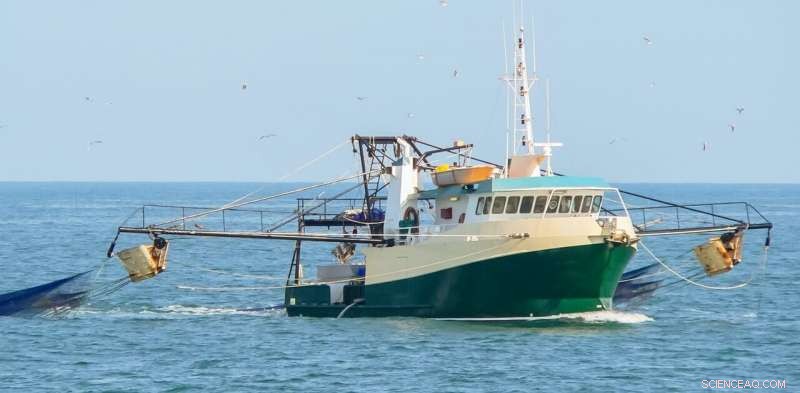 El Niño’s Impact on Banana Prawn Fisheries: Lessons Learned