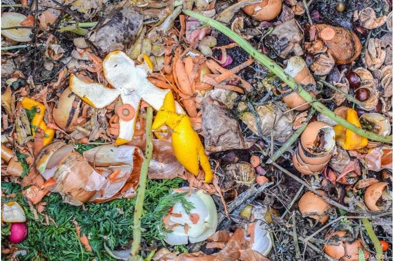 Turning Food Waste, Garden Debris, and Sewage into Sustainable Coal
