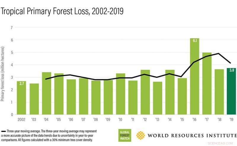 Brazil’s Forest Decline Drives Global Deforestation Surge